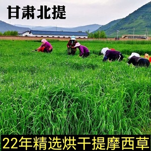 22年烘干北提摩西草500g包邮兔兔干草龙猫荷兰猪粮草饲料摩西提草