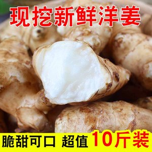 现挖野生洋姜新鲜10斤野鬼子姜不辣农家蔬菜酱菜腌菜泡菜甜阳菊芋