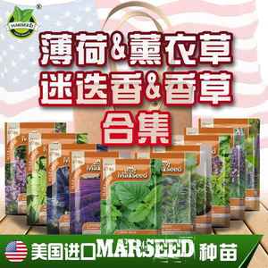 【香草合集】洋甘菊紫苏鼠尾草香料柠檬薄荷百里香迷迭香种子孑苗