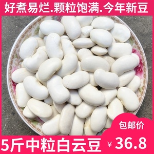 中白芸豆5斤新货 云南特产 农家中粒白豆白云豆 豆类杂粮粗粮包邮