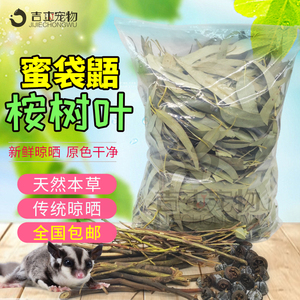 蜜袋鼯用品桉树叶枝桉叶树叶臭虫蜜袋鼬鼬鼠去味除臭生活用品全套