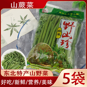 东北特产蕨菜小兴安岭伊春山野菜保鲜菜山蕨菜新鲜袋装森源包邮