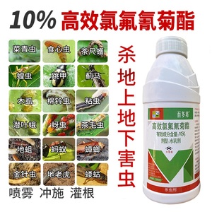 10%高效氯氟氰菊酯蚜虫菜青虫地上地下害虫蔬菜果树农药杀虫剂