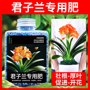 君子兰专用肥蝴蝶兰促进开花家用花肥通用颗粒缓释肥魔肥兰花肥料