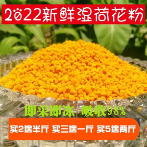 2022新鲜湿荷花粉上市纯天然正品500g食用蜂花粉农家未破壁莲花粉