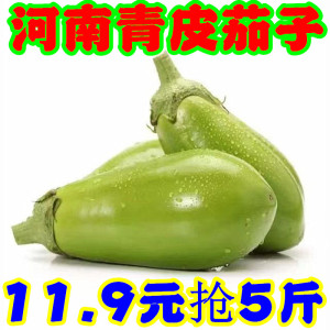 现摘青茄子新鲜蔬菜5斤包邮农家绿皮茄子河南青皮茄子绿圆茄子