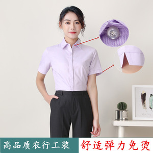 农行新款工作服女衬衫农业银行行服衬衣夏季短工作服袖职业装衬衣