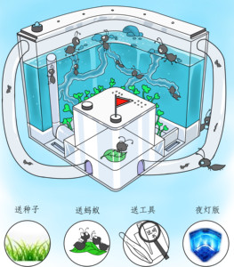 可选大小宠物玩具蚂蚁工坊生态巢超大城堡庄园屋别墅家园观察蚁后