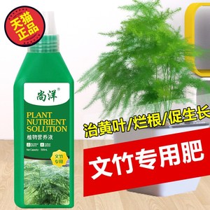 文竹专用肥料营养液景观盆治叶子发黄氮磷钾室内盆栽通用型花肥料