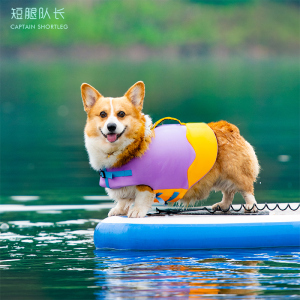 短腿队长宠物游泳衣狗狗救生衣救援浮力衣服夏天玩水波浪泳衣胸背