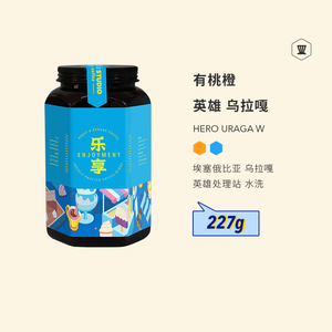 隔壁工坊 橙子杏桃耶加雪菲TOH水洗浅烘手冲精品咖啡豆100g/227g