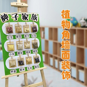 幼儿园环创主题墙植物角装饰展示栏小学科学教室走廊区域区角材料