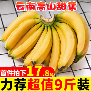 云南高山甜香蕉9斤当季新鲜水果软香甜banana芭蕉大蕉批发包邮10