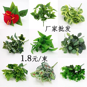 仿真波斯叶草蕨类植物假绿萝背景墙绿植工程客厅阳台装饰插花配材