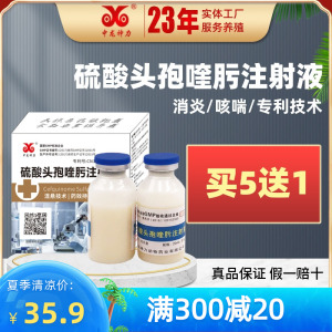 中龙兽用头孢喹肟兽药注射液 猪用药牛羊小猪母猪保健感冒4代头孢