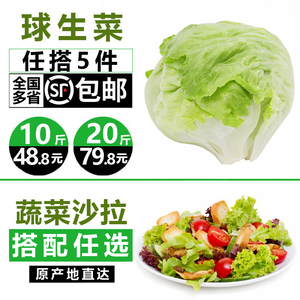 壹香 球生菜500g新鲜沙拉蔬菜 圆生菜汉堡西生菜色拉食材 5件包邮