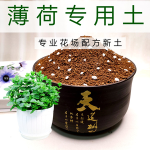 薄荷专用土蔬菜生鲜水果培植土家庭种菜通用型营养土易生根酸性土