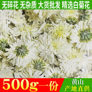 2022新花上市菊花茶500g黄山茶花菊特贡花级白菊花胎菊花草茶散装