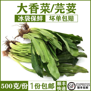 大香菜新鲜芫茜 刺芹 泰国冬阴功材料芫荽泰国香菜蔬菜食用 500g