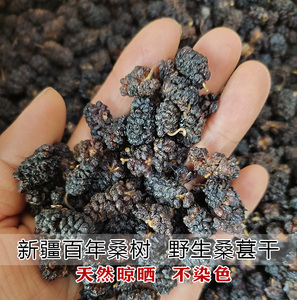 2022新疆特级野生黑桑椹干泡水泡酒泡茶天然无添加不染色做膏入药