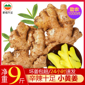 贵州小黄姜9斤新鲜生姜老姜云南罗平姜食用姜种植姜农家现挖嫩姜