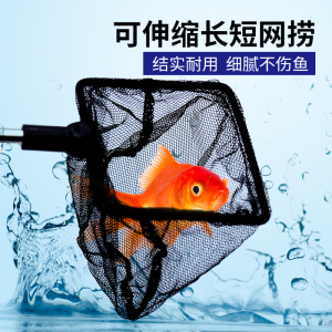 可伸缩长短鱼捞鱼缸虾缸龟缸水族箱捞鱼网方形手抄小金鱼鱼虾捞