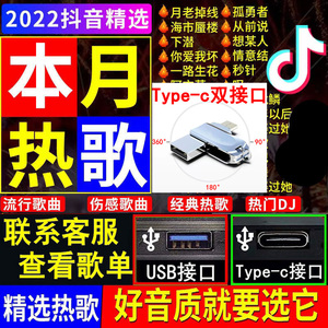 汽车载u盘歌曲抖音热歌无损type-c双接口2022新款高音品质乐优dj