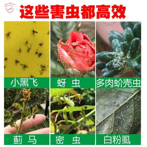 花卉植物杀虫剂治花虫的药长虫子花草小黑虫杀虫药蜜虫药植物通用