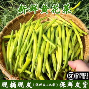 新鲜黄花菜金针菜忘忧菜甘肃农家自产直销食用野菜现摘1000g包邮