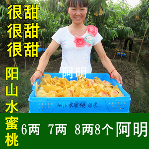 【阿明】正宗无锡阳山水蜜桃6-8两8个大桃子水果新鲜桃很甜送礼