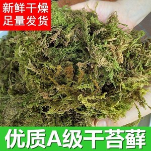 蝴蝶兰花专用干水苔干苔藓青苔营养土养乌龟冬眠爬虫运输保湿椰土