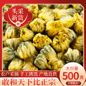 菊花茶胎菊王头采500g散装桐乡正宗杭白菊野生花茶花茶贡菊花草茶