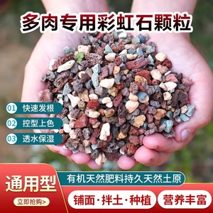 多肉彩虹石纯颗粒土绿沸石火山石麦饭石通用型多肉专用土铺面石