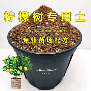 柠檬树专用土家庭园艺种植土壤弱酸性果树土盆栽花卉通用型营养土