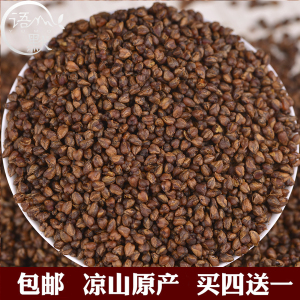 苦荞茶包邮 荞麦茶500g 大凉山黑苦荞茶正品 散装 特级 全胚芽茶