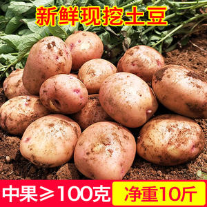 云南现挖红皮黄心土豆新鲜10斤包邮中号土豆农家种马铃薯洋芋蔬菜