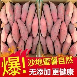 【新鲜现挖】西瓜红沙地红薯10斤红蜜薯整箱番薯农家自种地瓜5