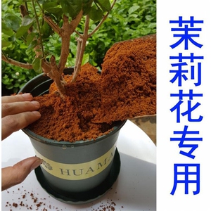 【茉莉花】专用红土纯天然泥土茶花弱酸性种植兰花栀子花盆栽种菜