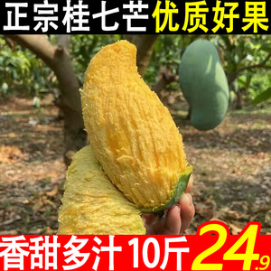 广西百色桂七芒10斤 水果新鲜当季现摘热带特产整箱大芒果5斤包邮