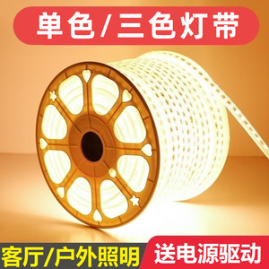 LED灯带客厅吊顶家用超亮三色装饰软灯条线灯户外防水长条灯220V