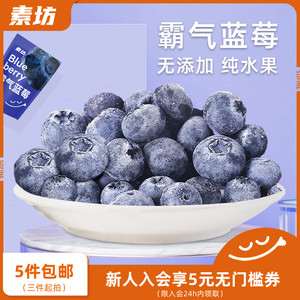 素坊蓝莓200g鲜果新鲜水果冷冻莓果大果非野生当季速冻甜浆果急冻