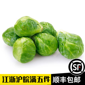 孢子甘蓝新鲜食用500g包邮迷你包菜Brussels Sprout胞子抱子甘蓝