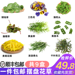 新鲜摆盘花草组合蛋糕饮品装饰叶子三色堇清香木酸模薄荷头黄菊花