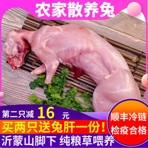 【顺丰包邮】新鲜兔肉大号现杀冷冻生兔肉生鲜食用烧烤食材一只装