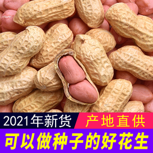 带壳生花生5斤装2021年新鲜货晒干种子粉红皮原味花生奶香炒熟花生