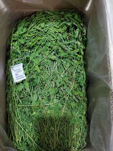 22年新草精品优质烘干苜蓿草兔子龙猫羊驼猪鼠牧草饲料毛重1公斤