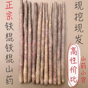 山药铁棍新鲜5斤正宗河南焦作温县铁杆山药批发怀山药小货淮山