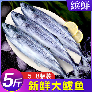 5斤鲅鱼新鲜 鲜活马鲛鱼整条冷冻马交鱼香煎熏鲅鱼胶大鲅鱼馅包邮