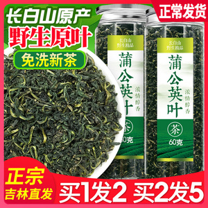 蒲公英叶茶野生天然长白山纯蒲公英叶子茶蒲公英茶花根茶干的特级