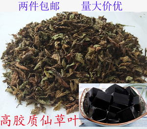 潮汕仙草叶仙草干烧仙草 草干纯叶子凉粉草仙草全叶仙草粉草粿草